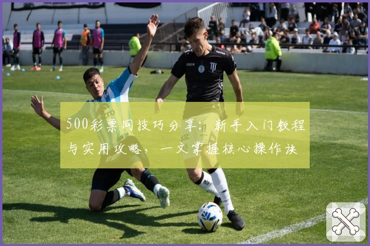 500彩票网技巧分享：新手入门教程与实用攻略，一文掌握核心操作诀窍