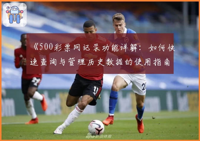 《500彩票网记录功能详解：如何快速查询与管理历史数据的使用指南》