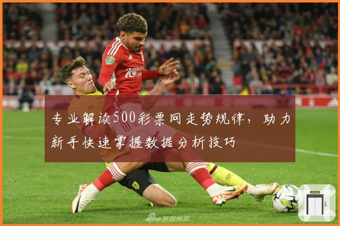 专业解读500彩票网走势规律，助力新手快速掌握数据分析技巧