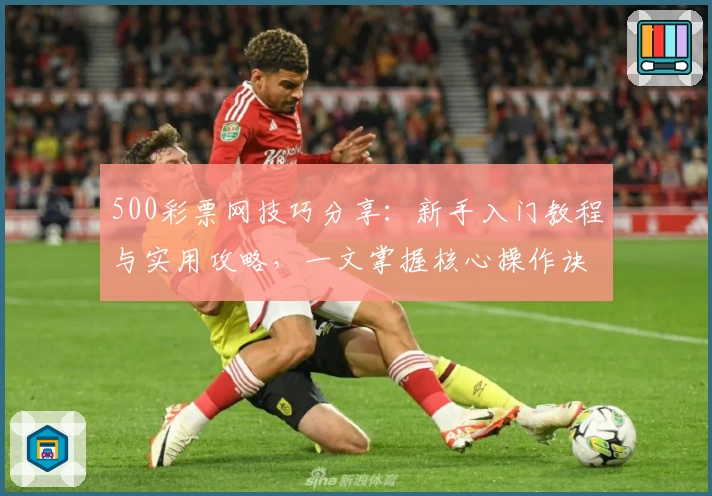 500彩票网技巧分享：新手入门教程与实用攻略，一文掌握核心操作诀窍