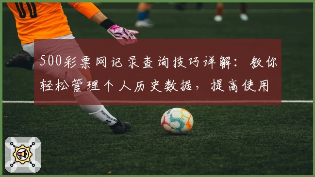 500彩票网记录查询技巧详解：教你轻松管理个人历史数据，提高使用效率