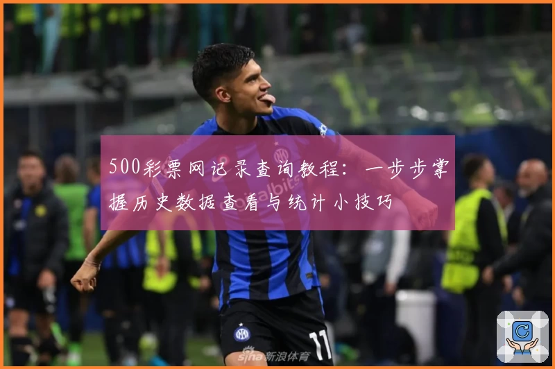 500彩票网记录查询教程：一步步掌握历史数据查看与统计小技巧