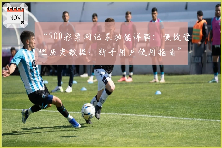 “500彩票网记录功能详解：便捷管理历史数据，新手用户使用指南”