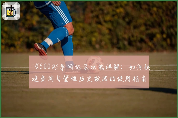 《500彩票网记录功能详解：如何快速查询与管理历史数据的使用指南》